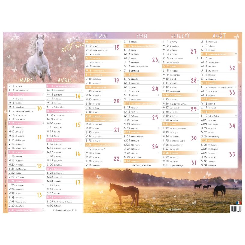 3664447138565-Calendrier Cheval - 7 mois par face - 32 x 42 cm - Oberthur-P_405132159_2-1