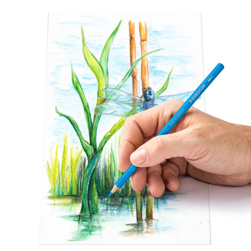 4007817052228-Staedtler Design Journey - 24 Crayons de couleur-P_405145959_7-5