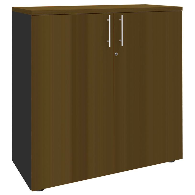 3253310231986-Armoire mi-haute IDRA/DUAL - L80 x H102 x P47 - 2 portes - 2 tablettes métal pour DS - Corps anthr-P_405152471_1-0
