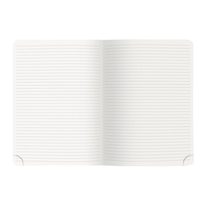 3660942086714-Exacompta Mini Labo All In One - Recharge pour bloc-notes - 150 x 210 mm - 32 feuilles / 64 pages - papier bla-P_405186211_5-2