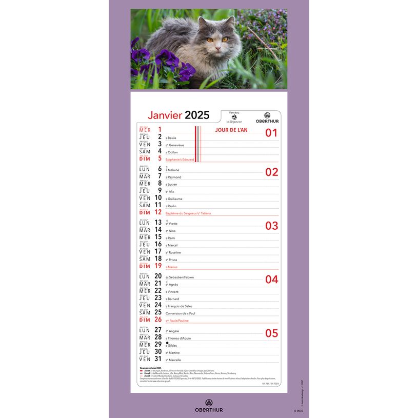 3664447209982-Calendrier mensuel en papier sur plaque illustrée - 16 x 33 cm - différents modèles dis-P_405186500_5-4