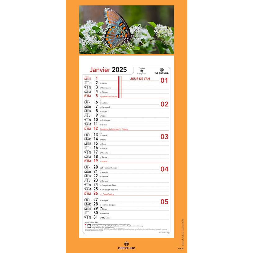 3664447209982-Calendrier mensuel en papier sur plaque illustrée - 16 x 33 cm - différents modèles dis-P_405186500_7-6