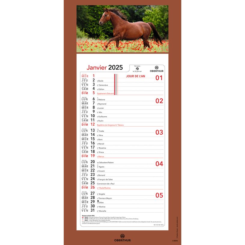 3664447209982-Calendrier mensuel en papier sur plaque illustrée - 16 x 33 cm - différents modèles dis-P_405186500_8-7