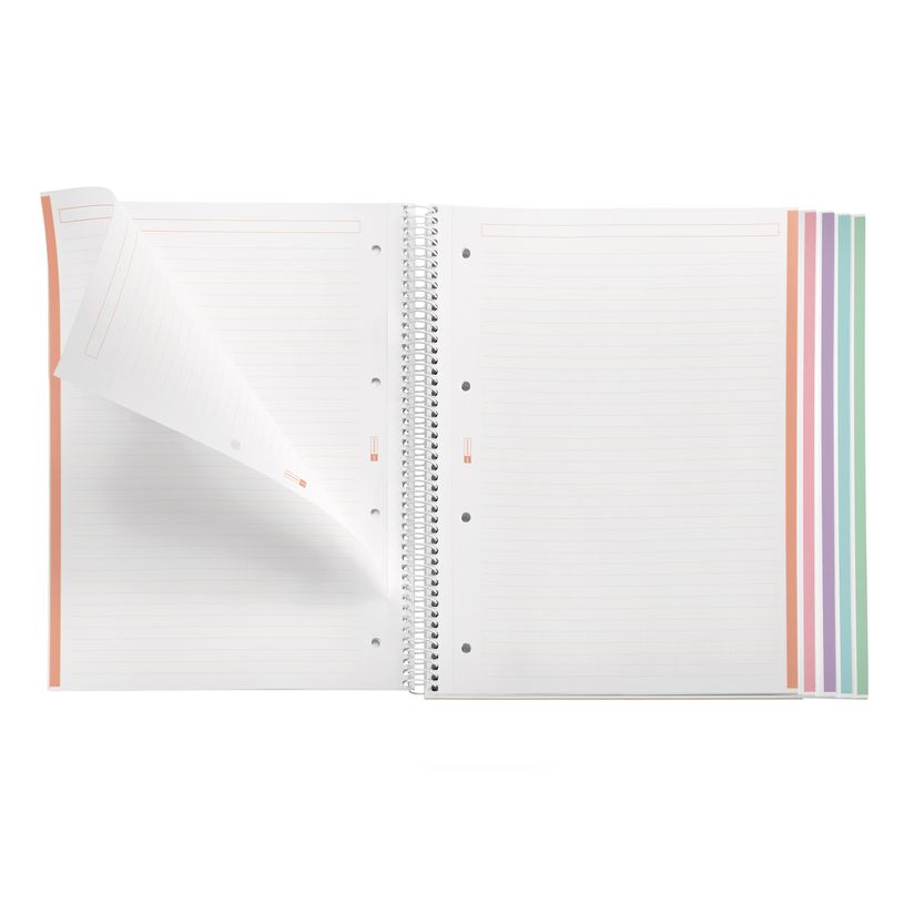 8422593485651-Notebook Emotions, couverture rigide, A4 lignes horizontales 7 mm, 120 feuilles de 5 couleurs, Miquelri--3