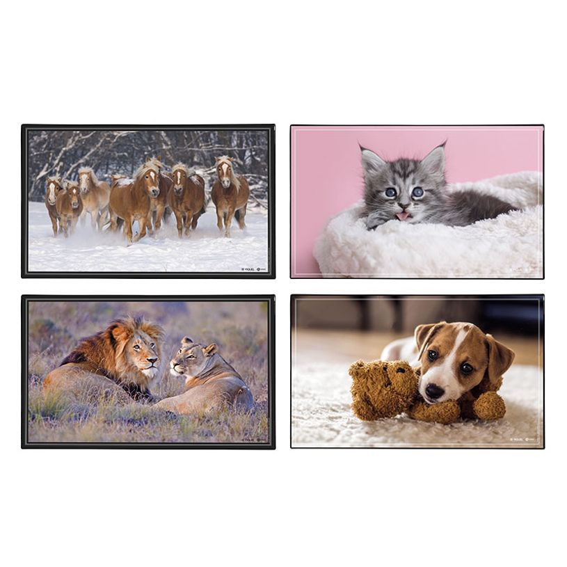 3135251384719-Sous-main Animaux 4 visuels - 59,5 x 36,2 cm - Assortis - Viquel-P_405226461_1-0