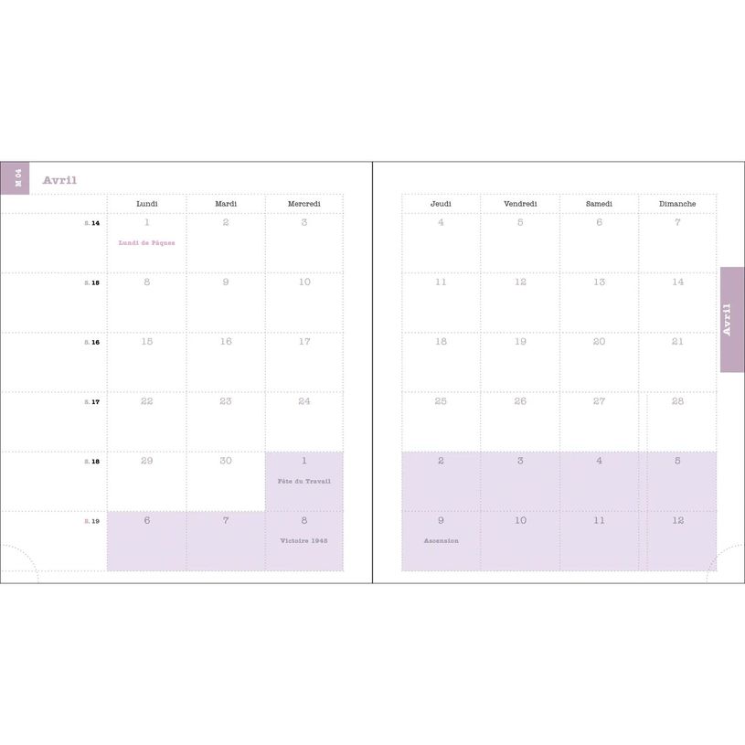 3660942087193-Agenda de bureau spiralé Color Design - 1 semaine sur 2 pages - 15 x 17 cm - oiseau - Exa-P_405228036_3-2