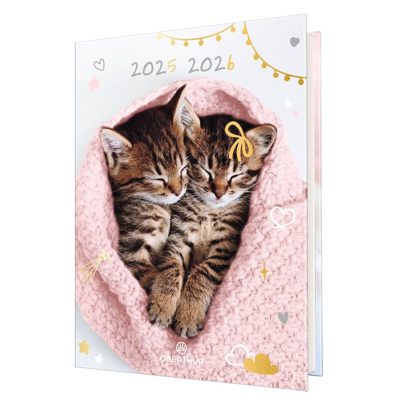3664447193427-Agenda Chaton tendre duo - 1 jour par page - 12,5 x 17,5 cm - Oberthur-P_405228357_1-0