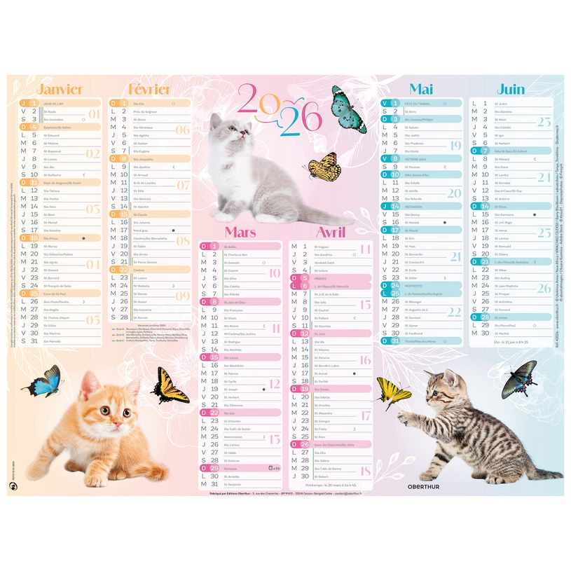 3664447193397-Oberthur - Calendrier Chatons - 6 mois par page - 270 x 210 mm - daté--0
