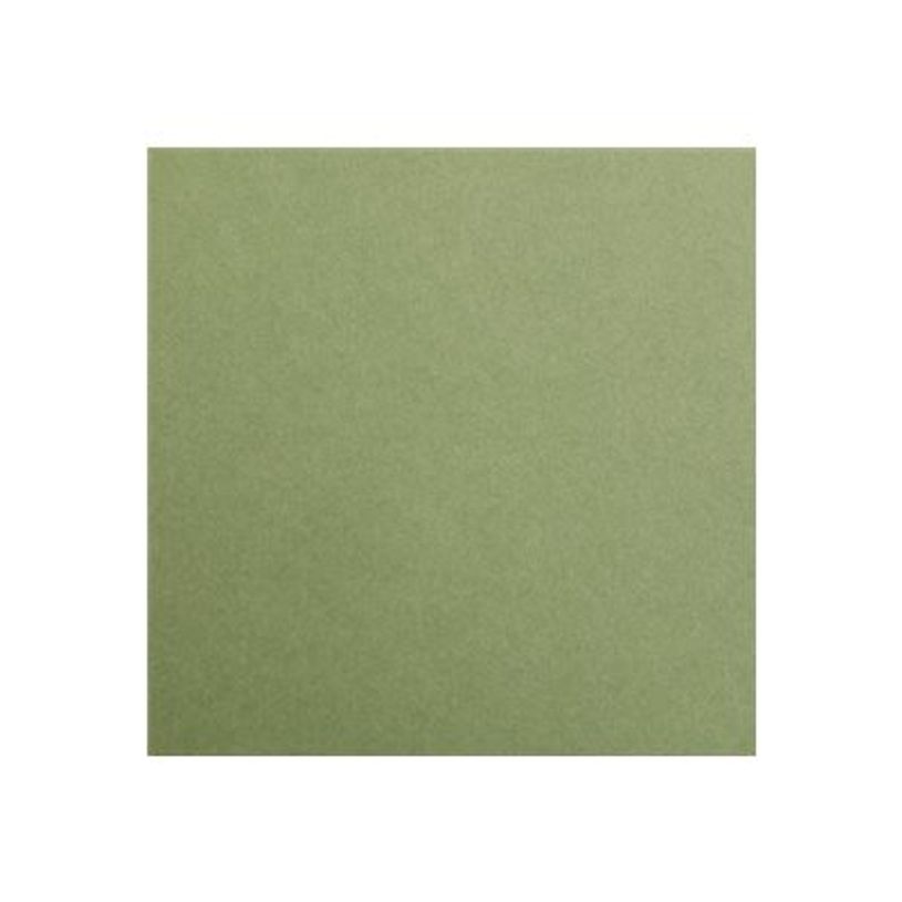 0404052365320-Clairefontaine MAYA - Papier technique - 700 x 1000 mm - 25 feuilles - vert mousse-P_405236532_1-0