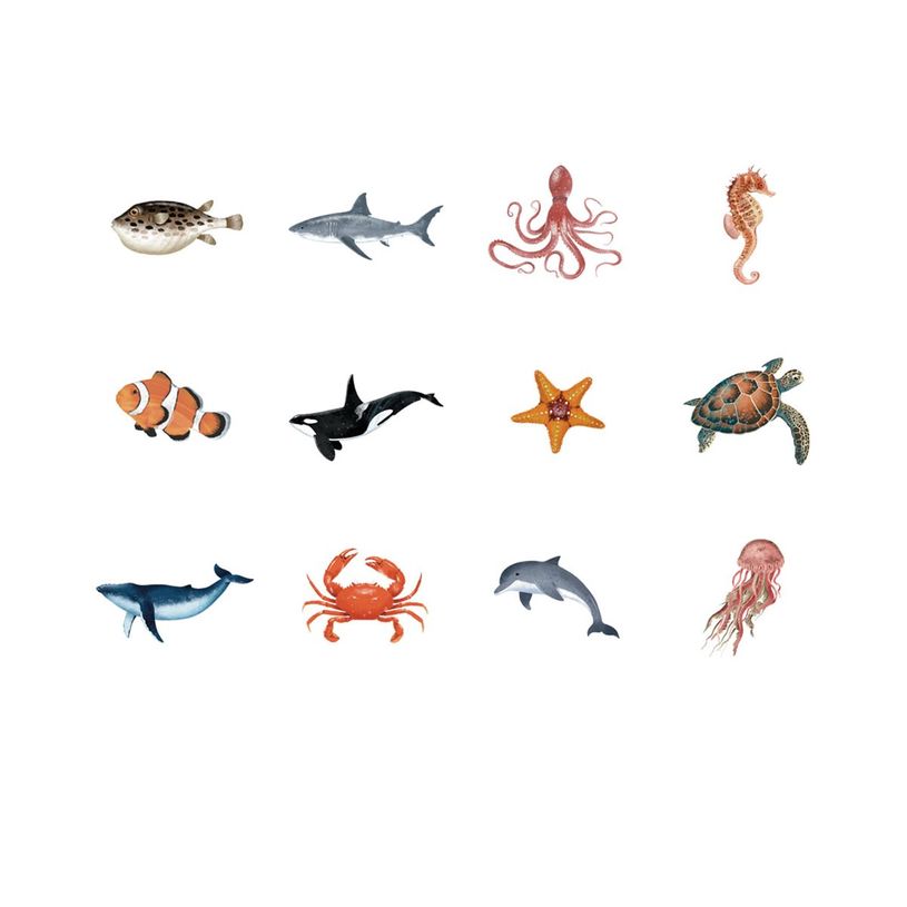 8410782200543-APLI kids - Rouleau adhésif - 360 pièces - oiseaux, animaux marins, terrestrial animals, exotic animals - 30 fe-P_405243350_2-1