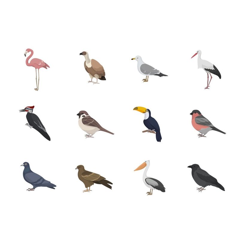 8410782200543-APLI kids - Rouleau adhésif - 360 pièces - oiseaux, animaux marins, terrestrial animals, exotic animals - 30 fe-P_405243350_4-3