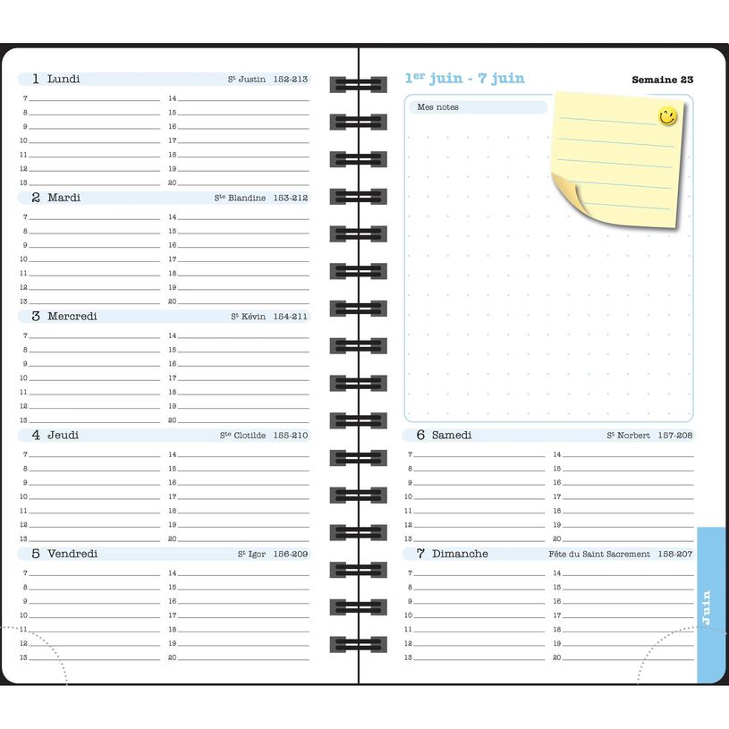3660942088299-Agenda de poche Ondine Lady 16S spiralé - 1 semaine sur 2 pages - 9 x 16 cm - disponible dans différentes cou--8
