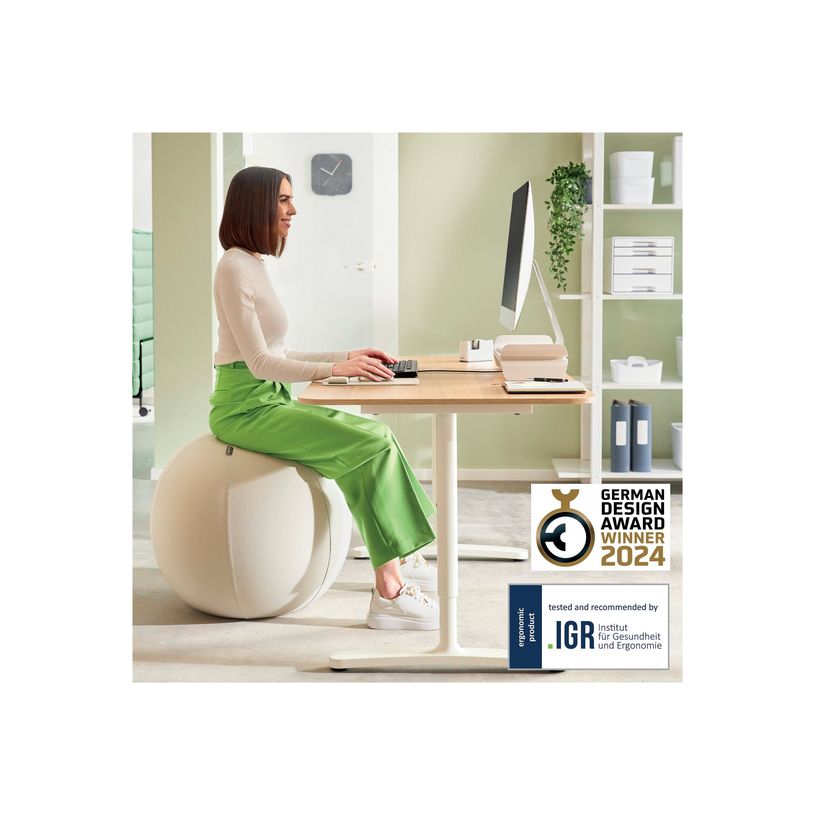 4002432134762-Leitz Ergo - Ballon d'assise ergonomique - Diamètre 65cm - Gris clair-P_405245725_6-2