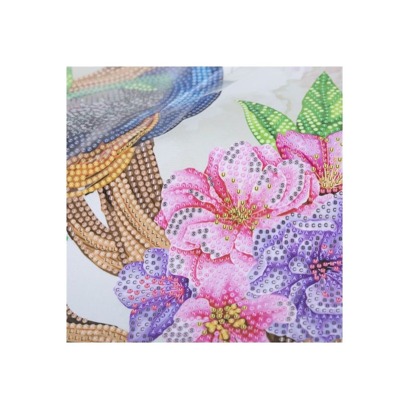 5056588606597-Craft Buddy Crystal Art - Kit mosaïque diamant artisanal - peacock peony - 35 x 45 cm-P_405248860_2-5