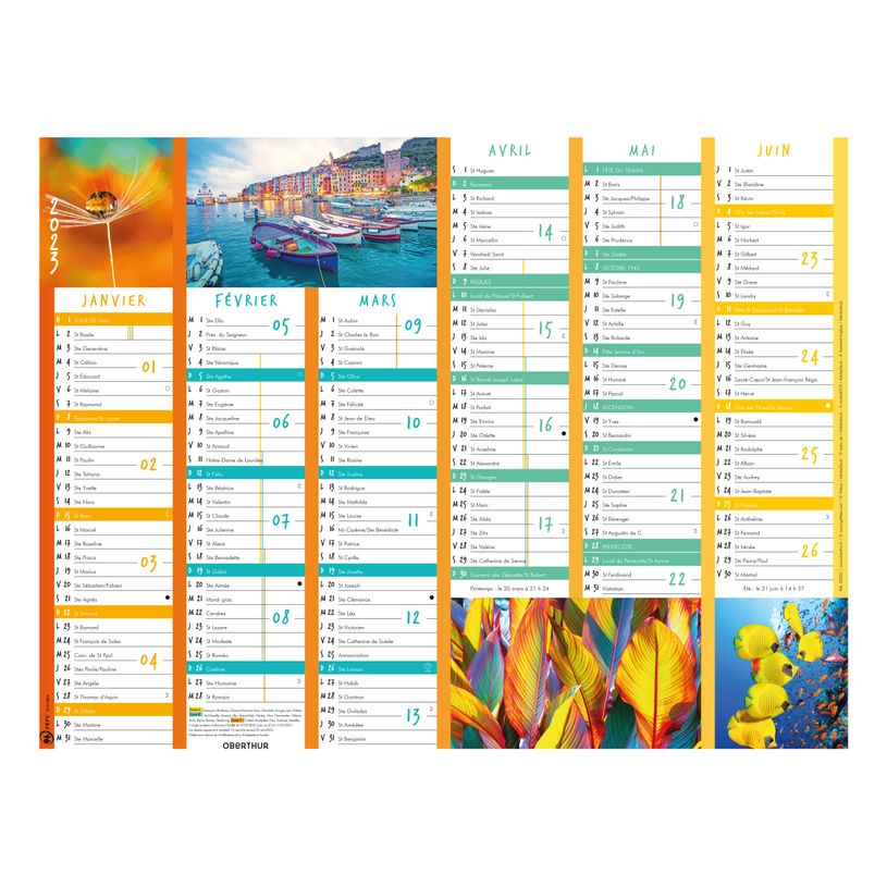 3664447125589-Oberthur Color Story - Calendrier 6 mois par face - 21 x 27 cm-P_79148032_1-0