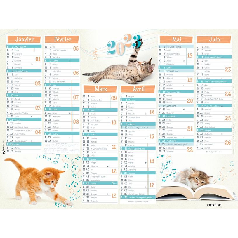 3664447125619-Oberthur Chatons - Calendrier 6 mois par face - 21 x 27 cm-P_79148035_2-0