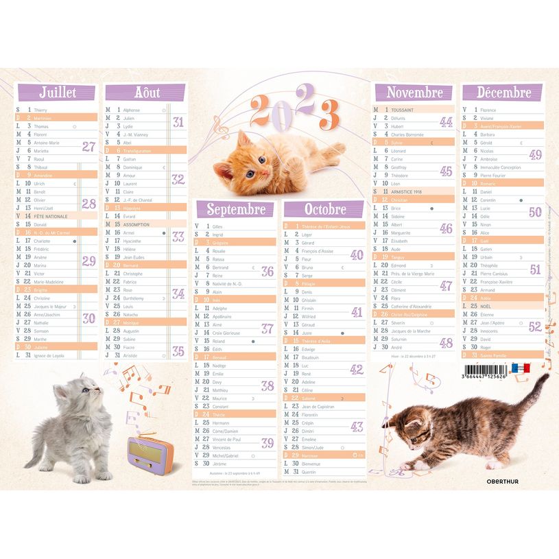 3664447125619-Oberthur Chatons - Calendrier 6 mois par face - 21 x 27 cm-P_79148035_3-1