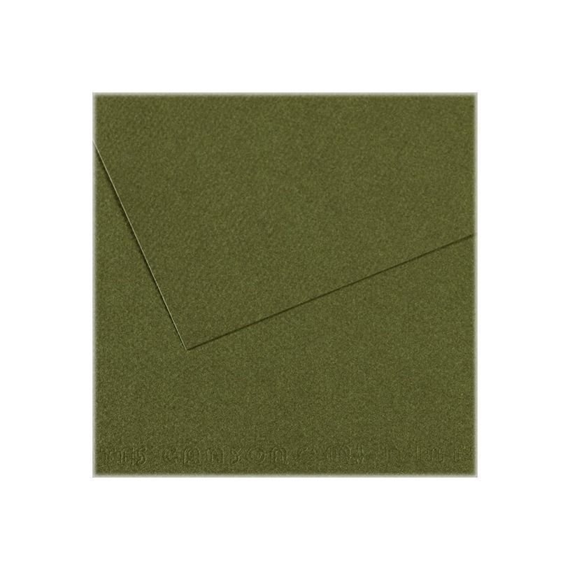3148953314540-Canson Mi-Teintes - Papier à dessin - 50 x 65 cm - vert océan-P_79349287_1-0