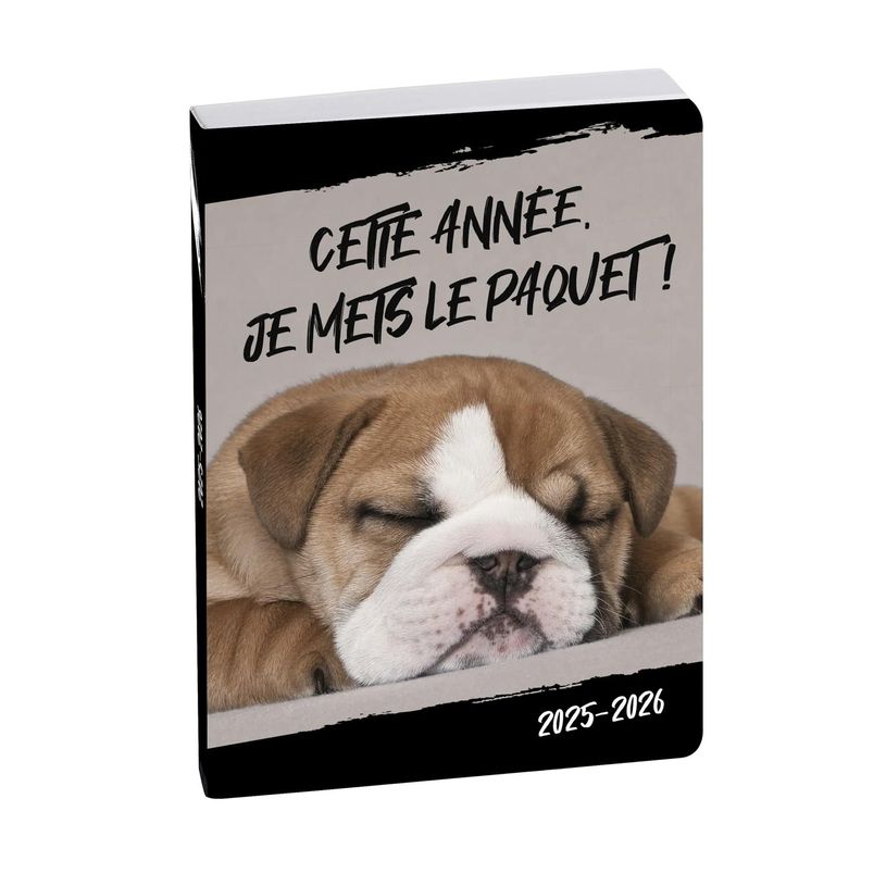3660942043199-Agenda Funny Pets - 1 jour par page - 12 x 17 cm - disponible dans différentes couleurs - -P_79387484_9-1
