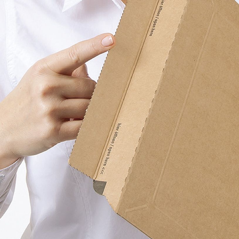 4033657100607-Pochette d'expédition adhésive - 25 cm x 36 cm - kraft - Logistipack-P_79425901_3-2