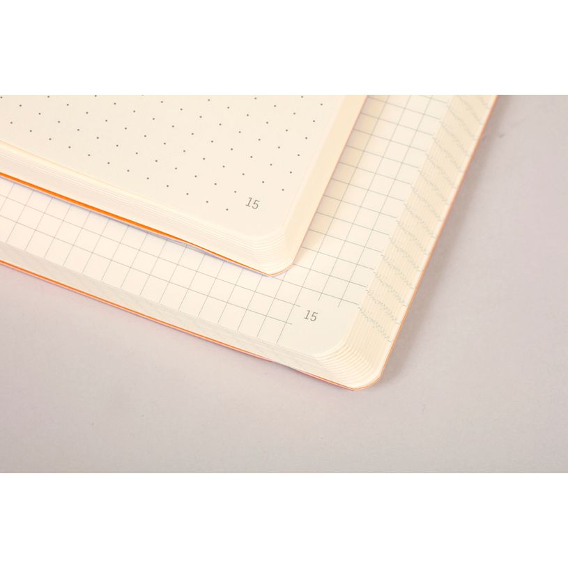 3037921177686-Rhodia Goalbook - Carnet souple A5 - 224 pages numérotées - petits carreaux - saphir-P_79430244_6-4
