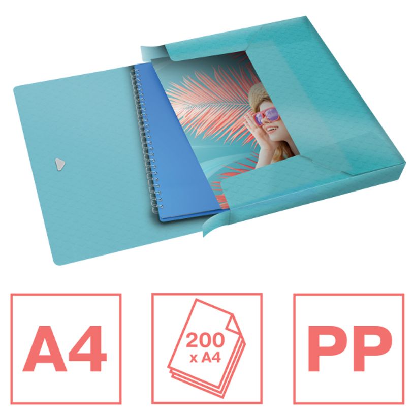 4049793053134-Esselte Colour'Breeze - Boîte de classement - Dos 25 mm - pour 120 feuilles - bleu-P_79434857_3-2