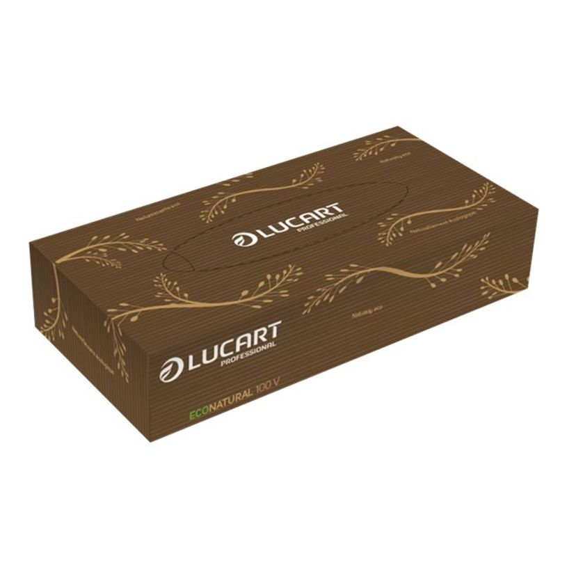 8005892347013-Lucart Professional EcoNatural - Boite distributrice de mouchoirs - 100 feuilles-P_79443131_1-0
