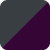 Anthracite/Prune