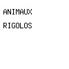 animaux rigolos